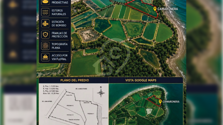 Camaronera en venta en Isla Jambelí – El Oro