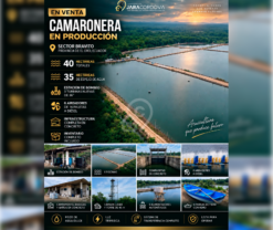 Camaronera en venta en Sector Bravito, El Oro