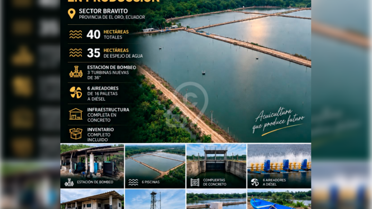 Camaronera en venta en Sector Bravito, El Oro