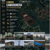 Camaronera en venta en Sector Bravito, El Oro