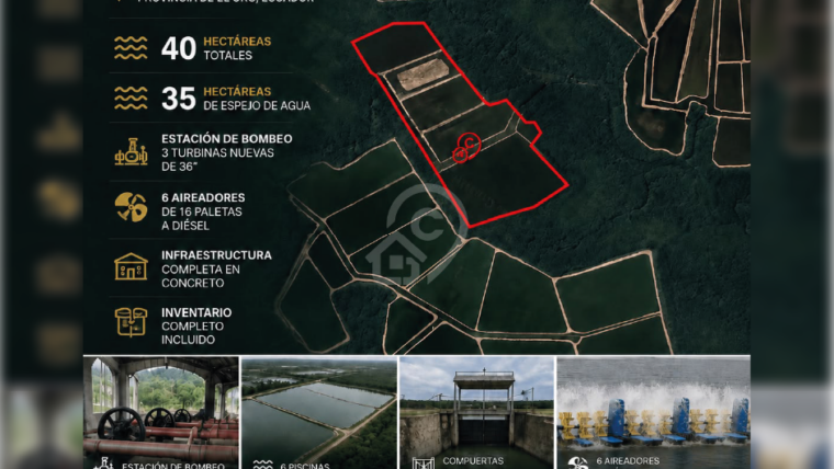 Camaronera en venta en Sector Bravito, El Oro